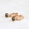 Gold Earrings With Brown Topaz